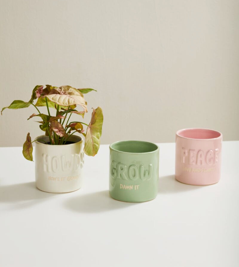 Plantisms Pot Collection image 0