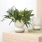 Tartu Pot and Saucer (Self-Watering) image 5