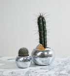 Disco Pot Collection  image 3