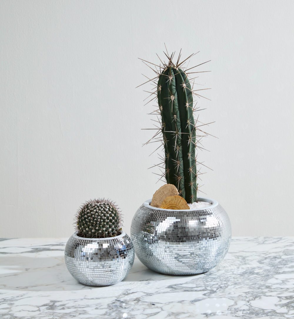 Disco Pot Collection  image 3