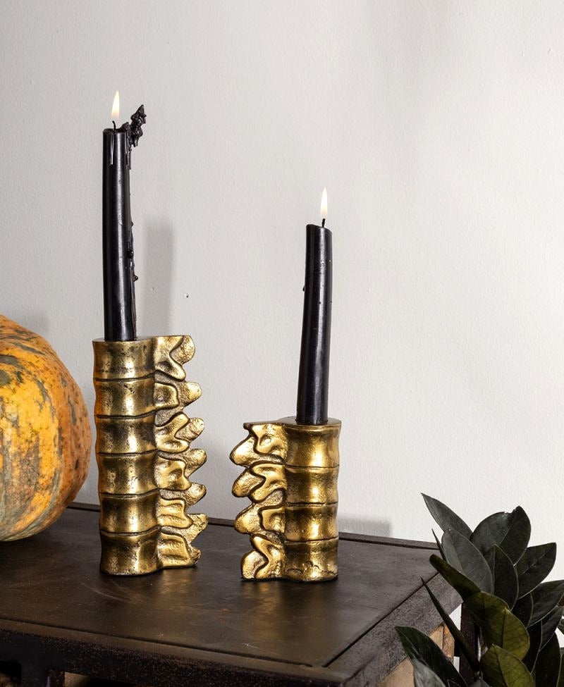 Skeletal Lumbar Candleholders (Set of 2) image 0