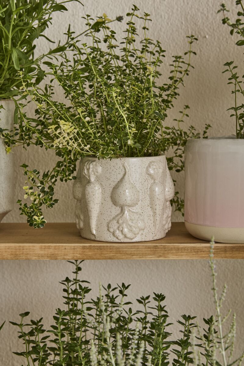 Veggie Pot Collection  image 11