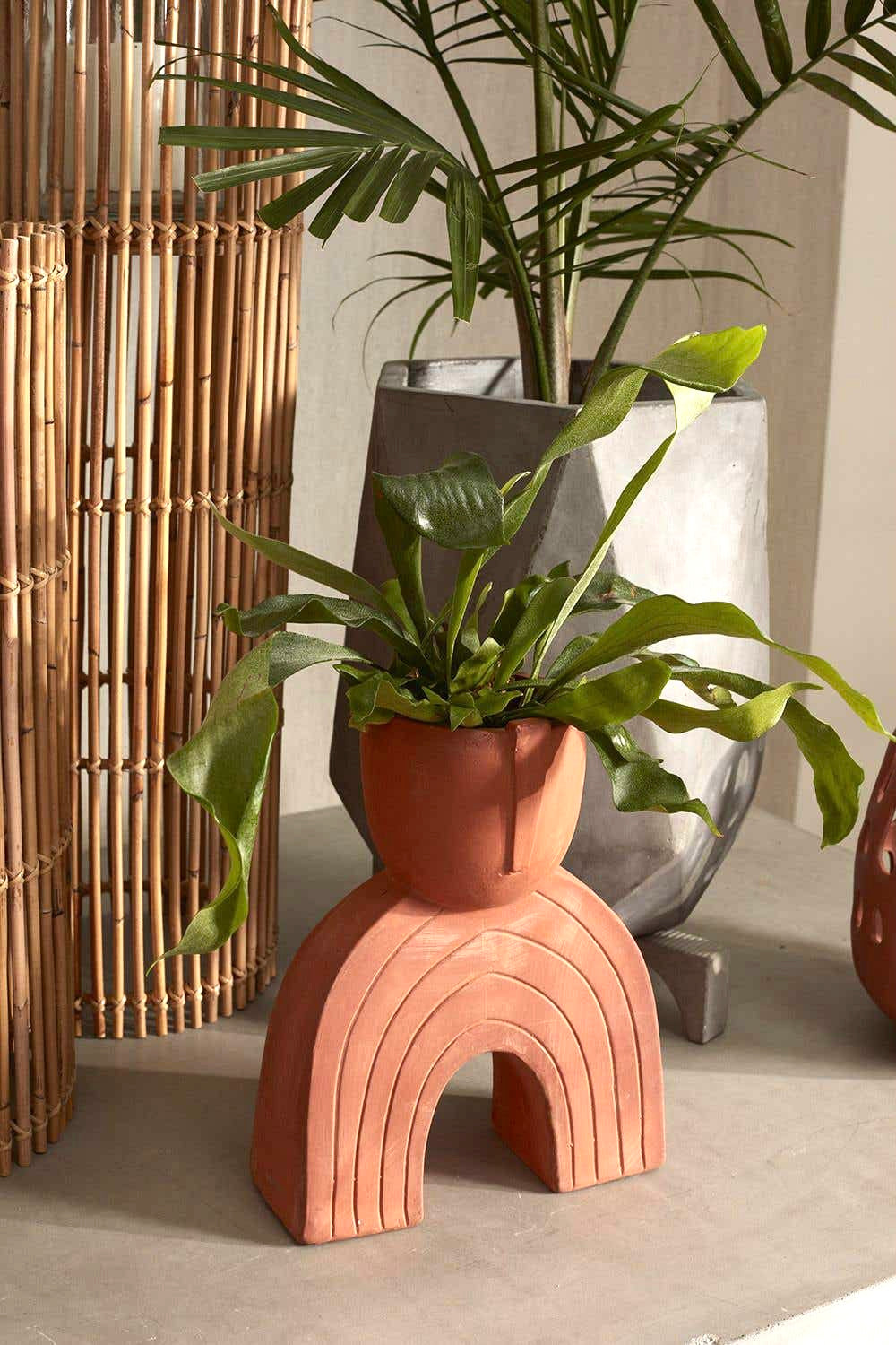 Jacinto Terracotta Planter image 0