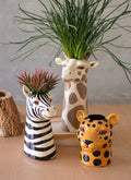 Safari Animal Succulent Pot image 0