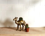 Kharai Camel Pot image 3