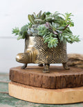 Seymour Turtle Pot image 0
