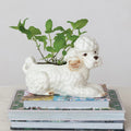 Colette the Poodle Planter  image 0