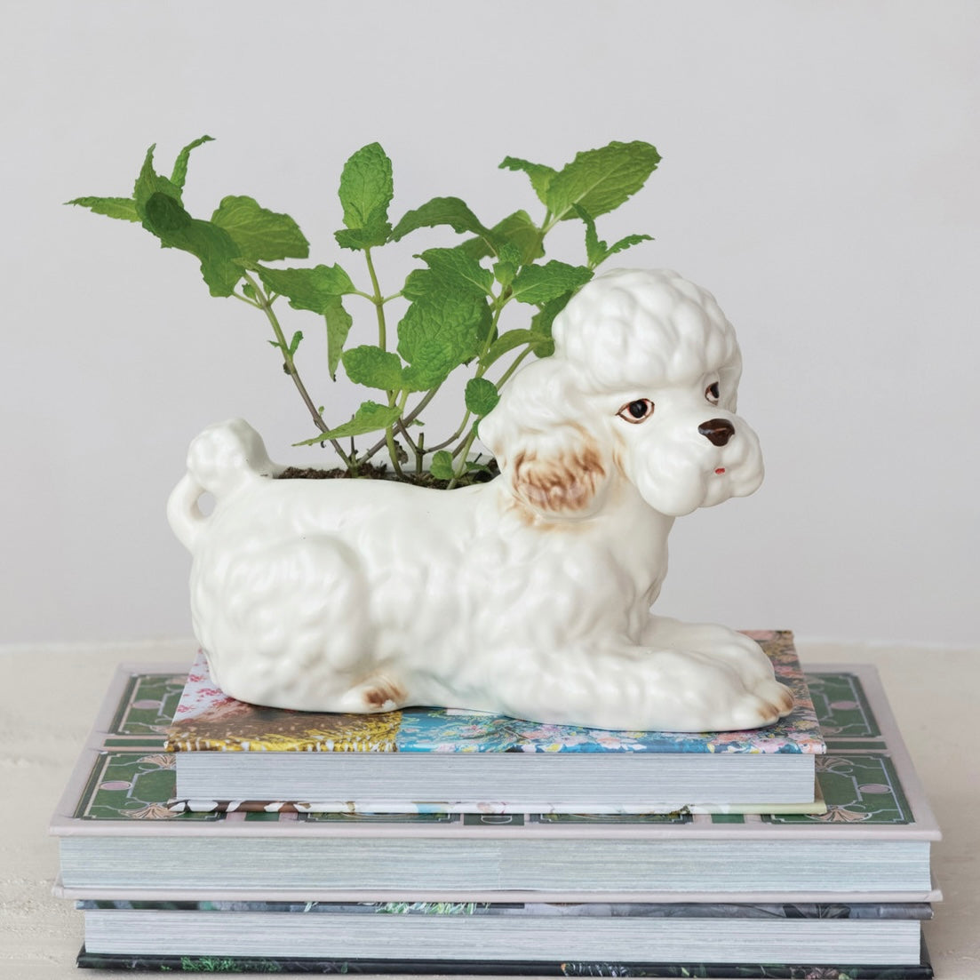 Colette the Poodle Planter  image 0