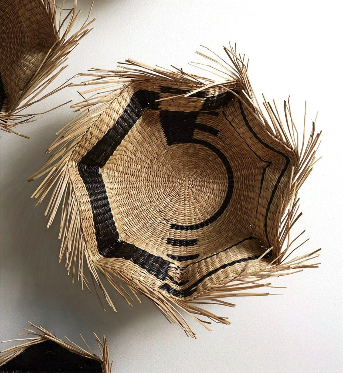 Hague Basket Collection  image 12