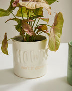 Plantisms Pot Collection image 4
