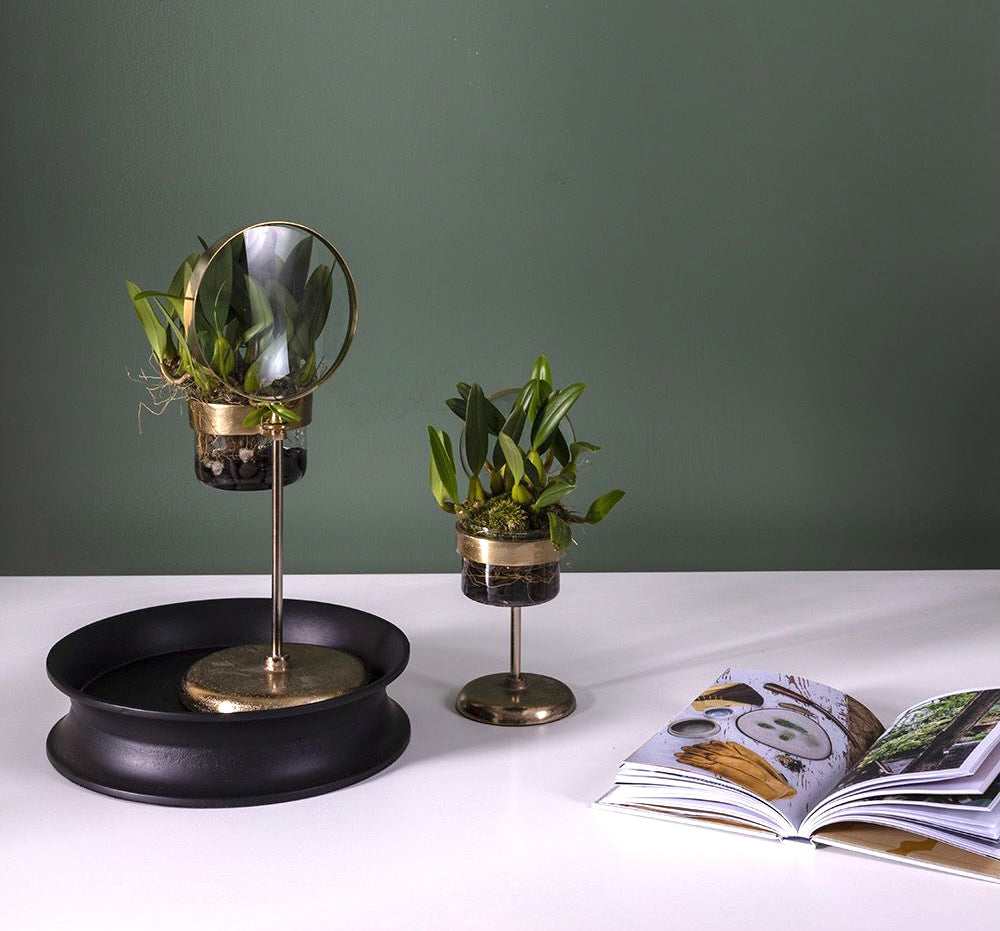 Magnifying Spyglass Pot and Stand image 4