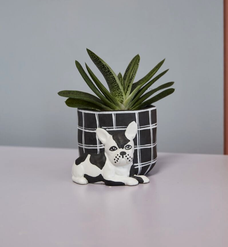 Pampered Pet Pot image 5