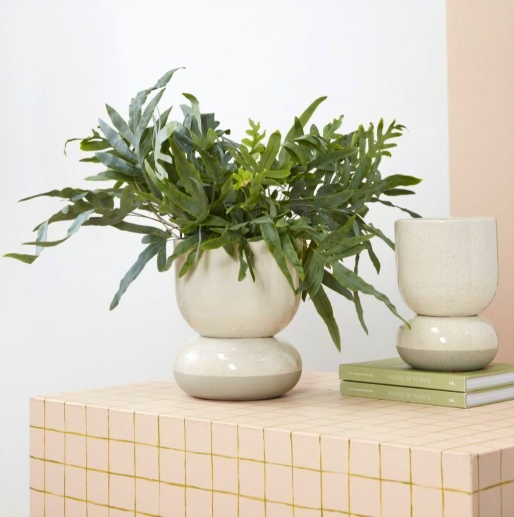 Tartu Pot and Saucer (Self-Watering) image 0