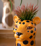 Safari Animal Succulent Pot image 1