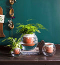 Davis Bowl Planter (Self-Watering) image 0