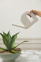 Bel Air Watering Vessel  image 0