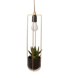 Kol Hanging Lighted Planter image 2