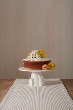 Cottontail Bunny Collection  image 10