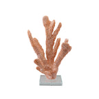 Coral Reef Collection image 2
