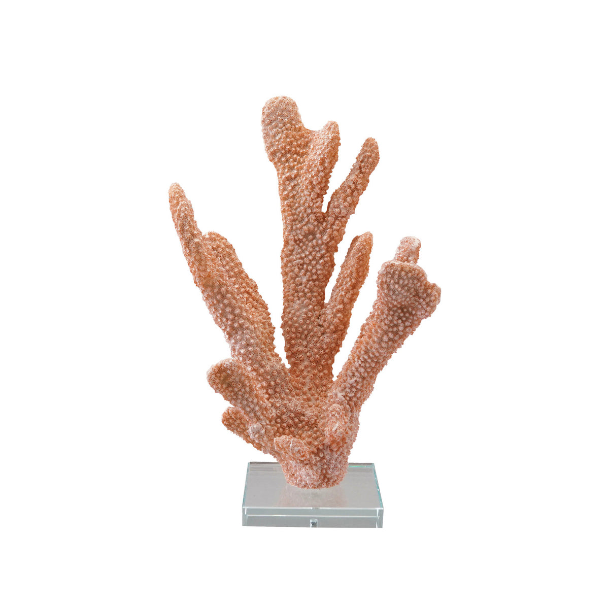 Coral Reef Collection image 2