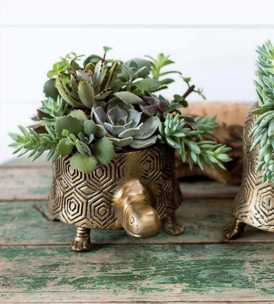 Seymour Turtle Pot image 2