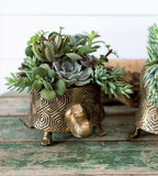 Seymour Turtle Pot image 2