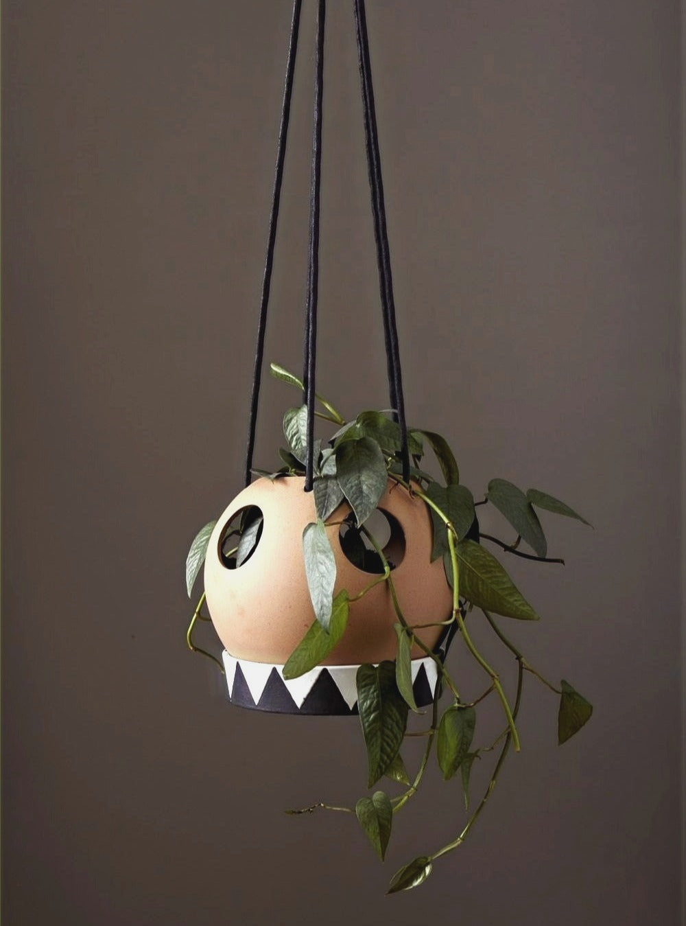 Likko Hanging Planter image 0