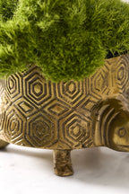 Seymour Turtle Pot