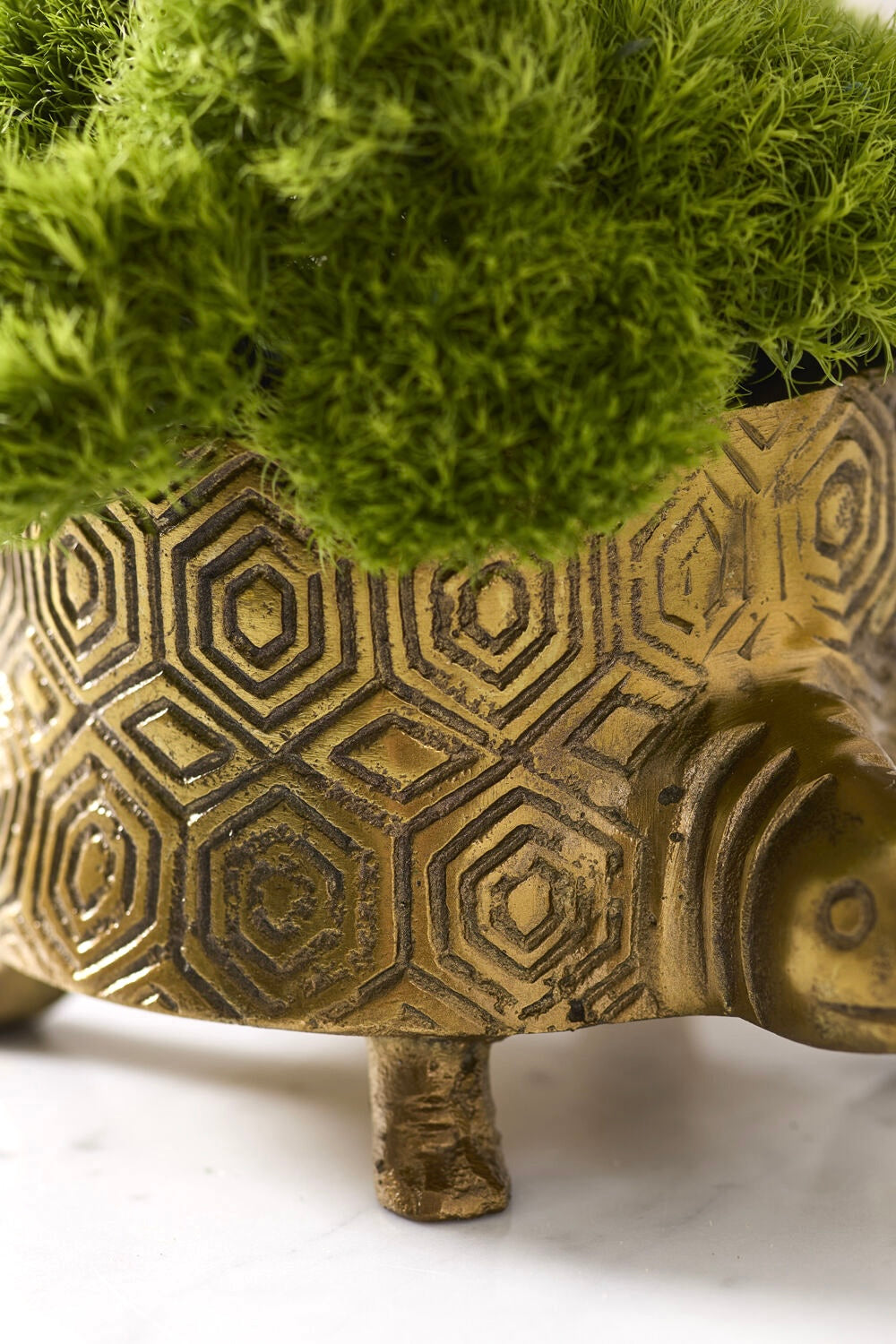 Seymour Turtle Pot