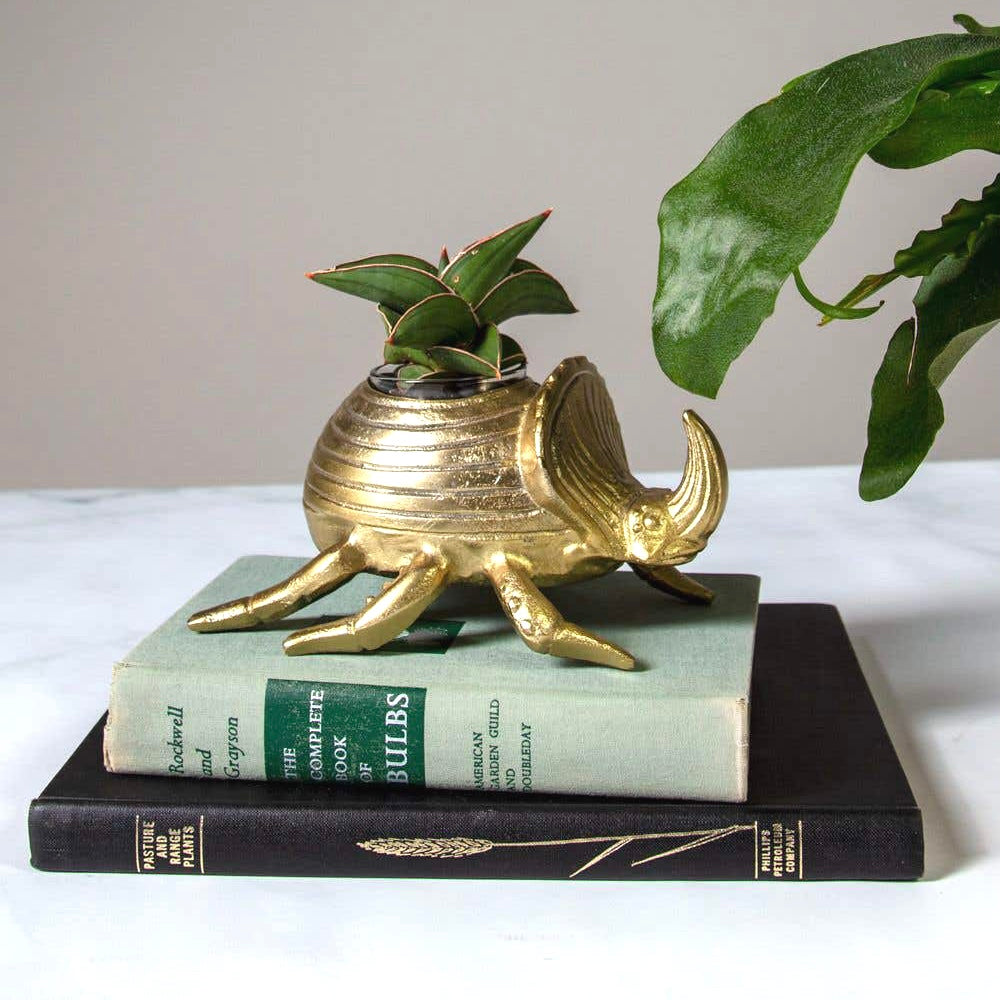 Golden Scarab Pot image 0