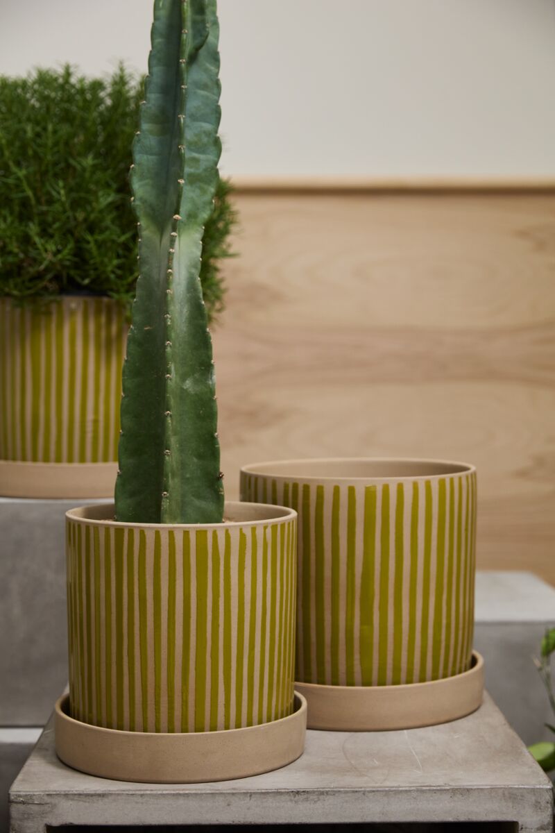 Planter with Saucer  image 0