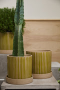Planter with Saucer  image 0