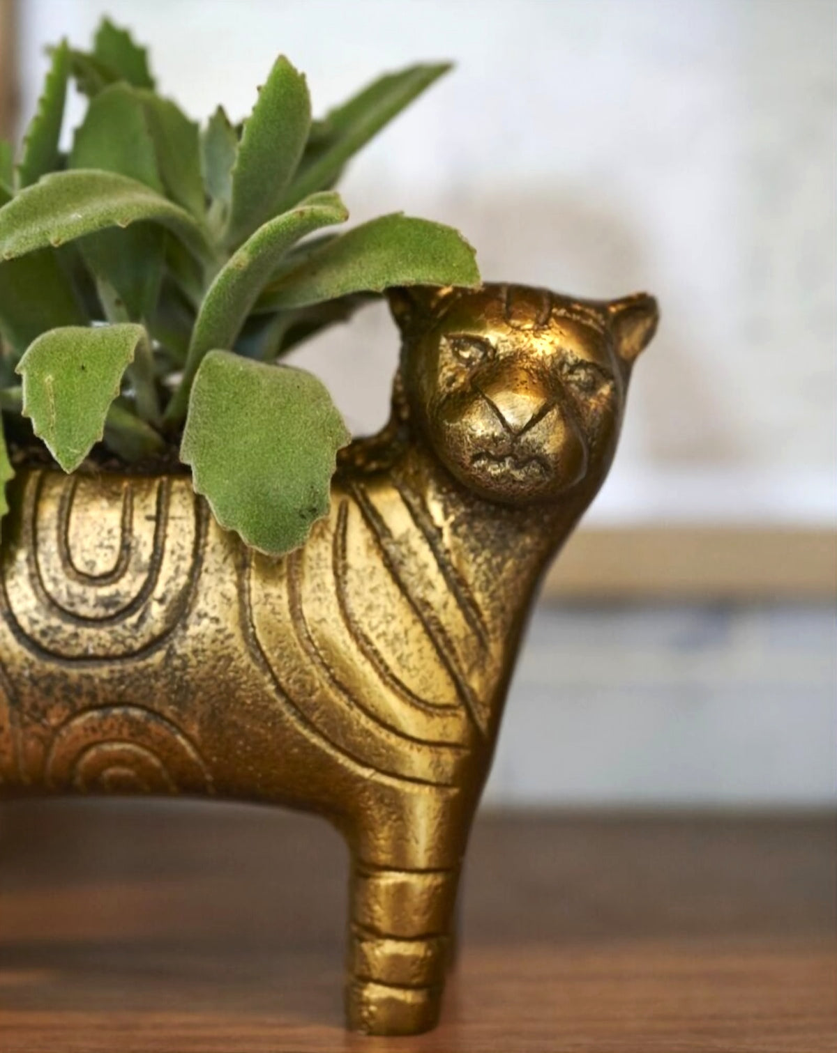 Bengali Tigris Pot image 2