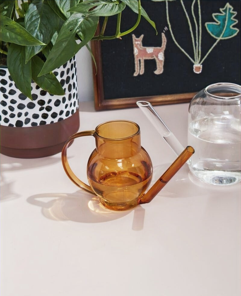 Pequeno Watering Vessel image 4