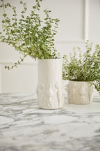 Veggie Pot Collection  image 5
