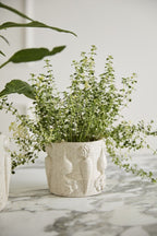 Veggie Pot Collection  image 9