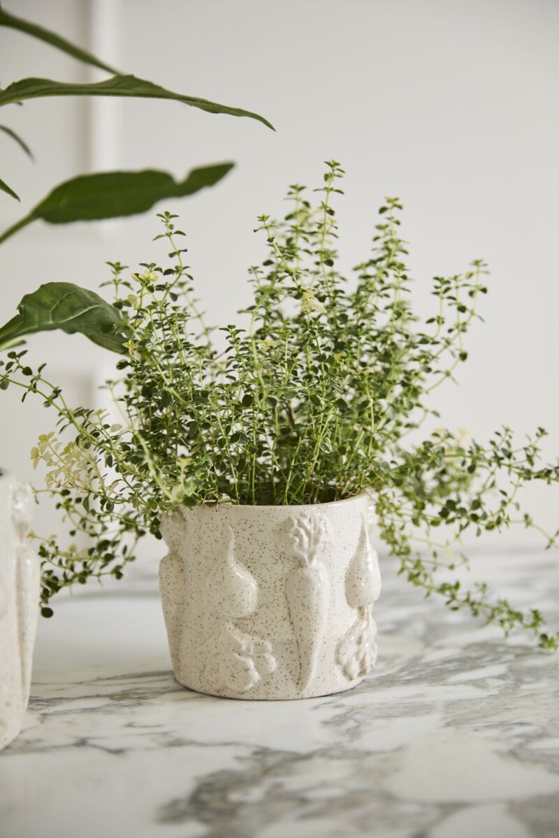 Veggie Pot Collection  image 9