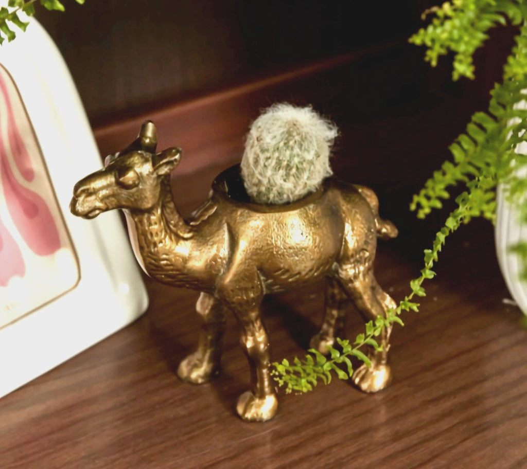Kharai Camel Pot image 0