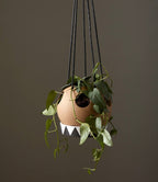 Likko Hanging Planter image 1