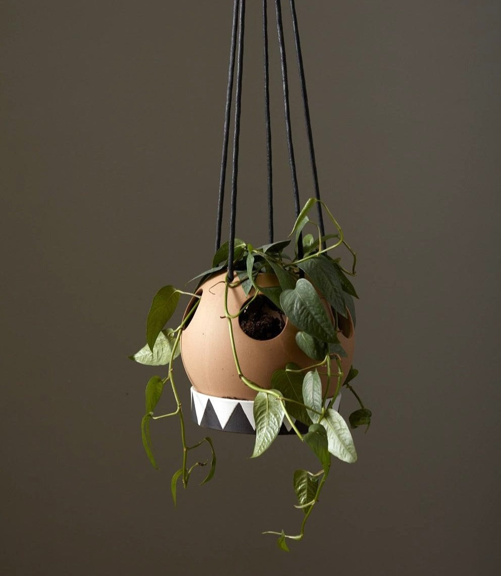 Likko Hanging Planter image 1