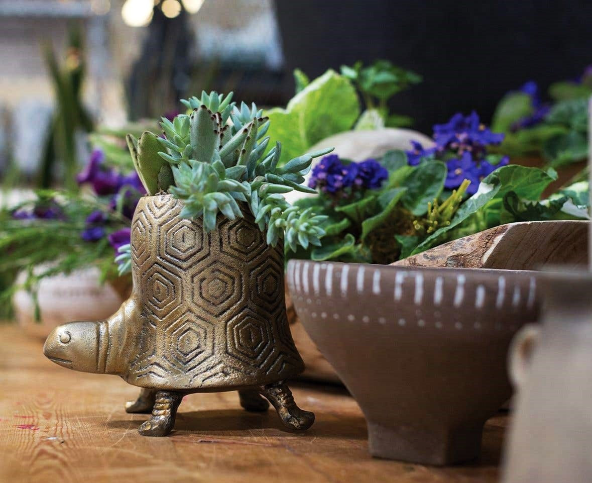 Seymour Turtle Pot image 4