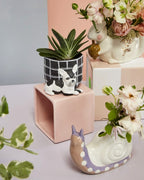 Pampered Pet Pot image 3