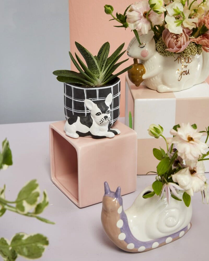 Pampered Pet Pot image 3