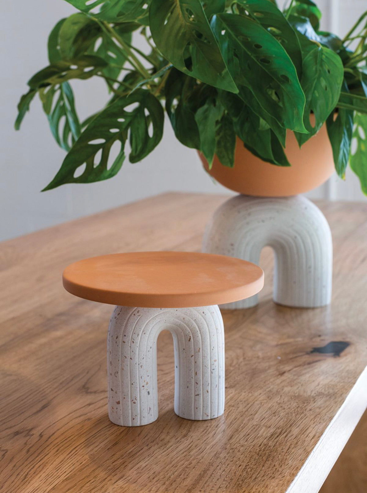 Enara Collection  image 5