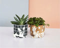 Pampered Pet Pot image 0