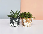 Pampered Pet Pot image 0