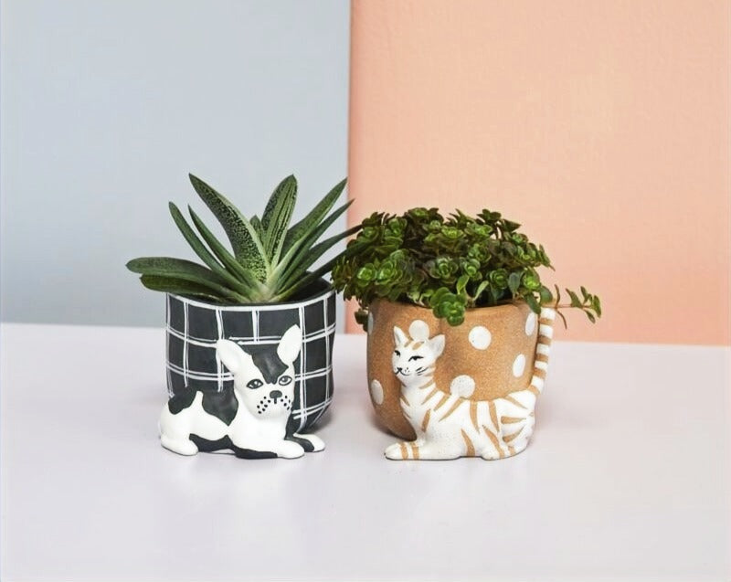 Pampered Pet Pot image 0