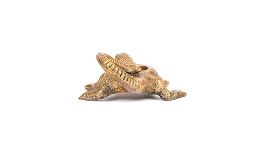 Komodo Dragon Tealight Holder image 4