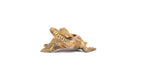 Komodo Dragon Tealight Holder image 4