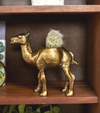 Kharai Camel Pot image 2